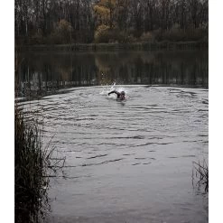 Orca Athlex Flow Wetsuit - Silver Total -ORCA Verkaufsgeschäft orca athlex flow wetsuit silver total 32 1479531